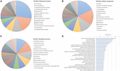 Integration of Transcriptomics and Proteomics Improves the Characterization of the Role of Mussel Gills in a Bacterial Waterborne Infection